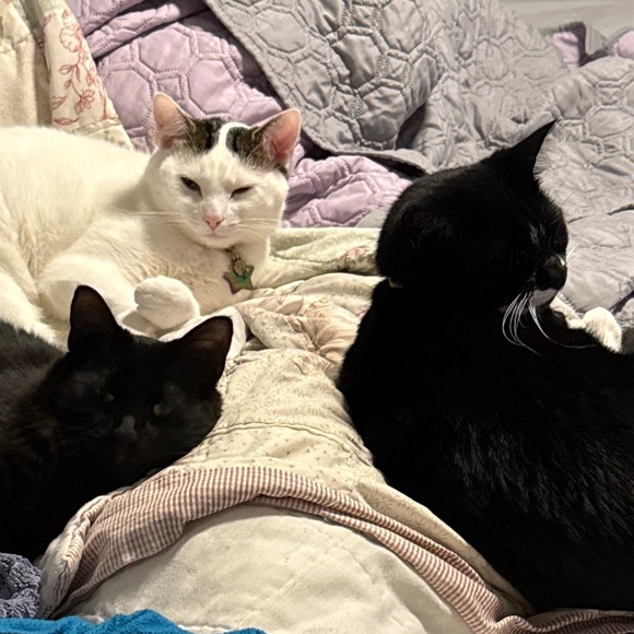 Meet your Posher, Christina - Picture 1 of 1